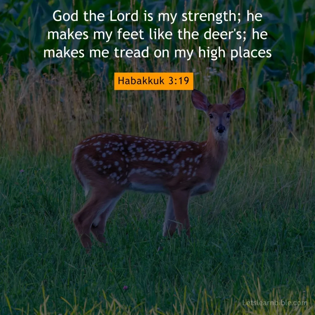 Bible Verses for Mental Strength,Scriptures for anxiety, finding peace in God, Bible verses for encouragement, spiritual strength,