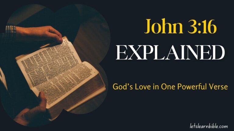 John-3-16 Explained, John-3-16 Meaning,