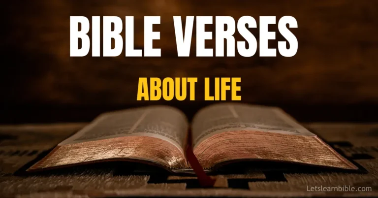 bible verses about life, life scriptures, hope in the Bible, Christian living, eternal life, God’s purpose,